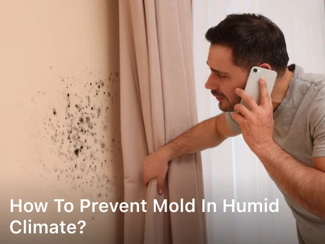 How to Prevent Mold in Humid Climate