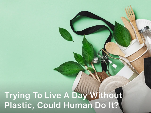 Trying to Live a Day Without Plastic