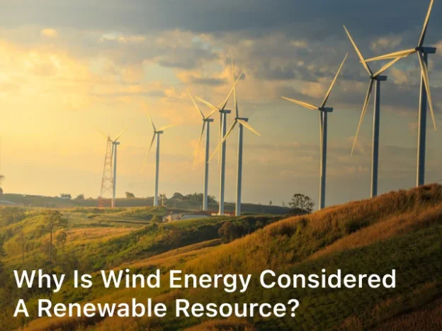 Why is Wind Energy Considered a Renewable Resource