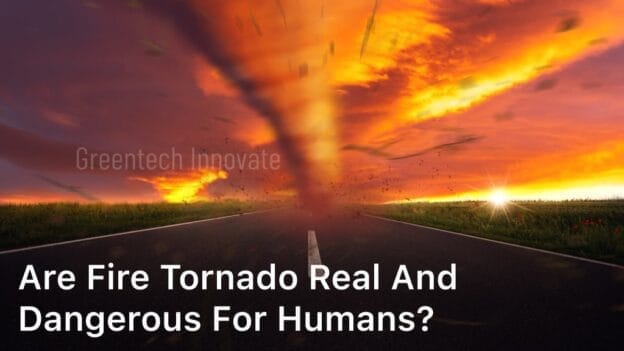 Fire Tornado Real and Dangerous