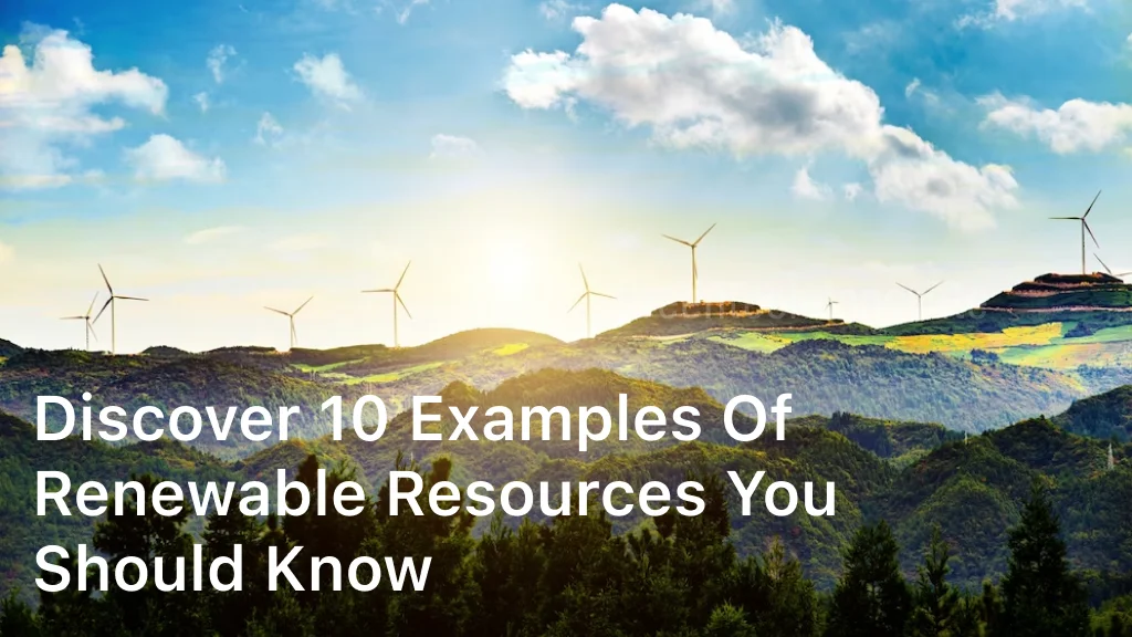 10 Examples of Renewable Resources You Should Know