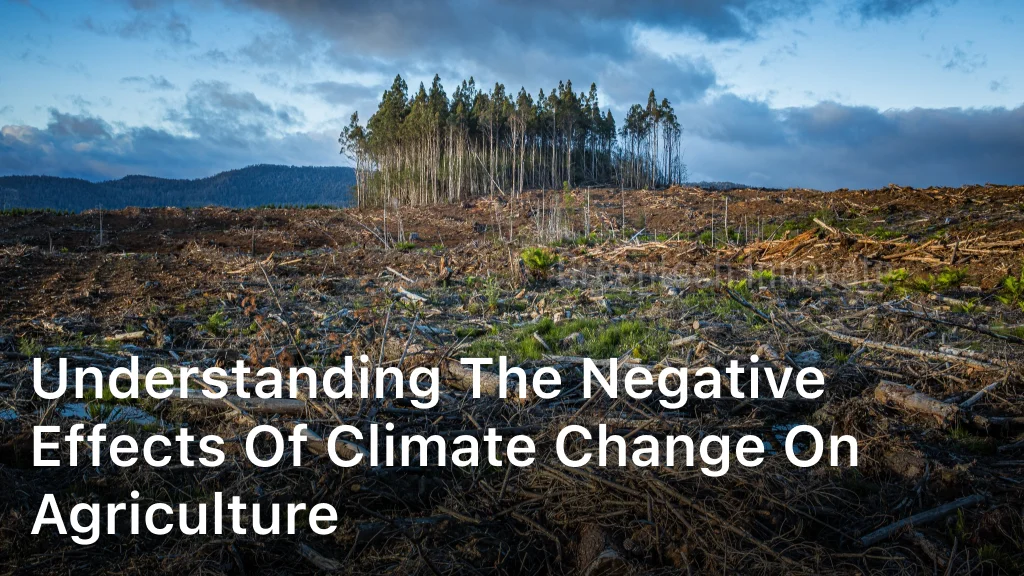 Negative Effects of Climate Change on Agriculture