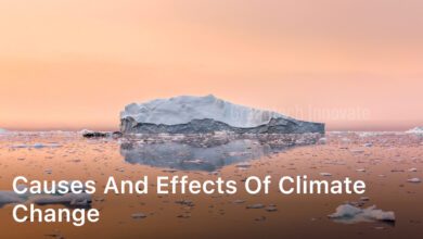 Causes and Effects of Climate Change