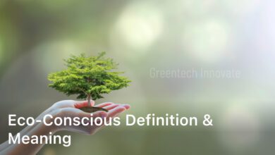 Eco-conscious Definition & Meaning
