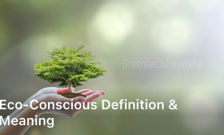 Eco-conscious Definition & Meaning