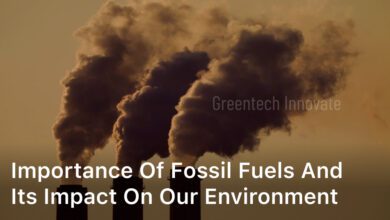 Importance of Fossil Fuels and its Impact On our Environment