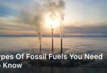 Types of Fossil Fuels You Need to Know