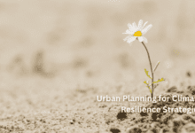 Urban Planning for Climate Resilience