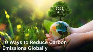 Ways to Reduce Carbon Emissions Globally