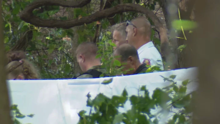3 killed when private plane crashes into Maryland woods: Officials