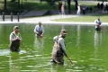 Park Service continues to battle algae in renovated Reflecting Pool