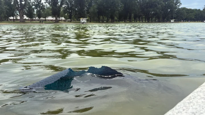 Some of the Lincoln Memorial Reflecting Pool liner appears to be falling apart