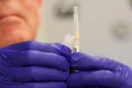What to know about COVID-19 study that was finally published after being blocked by CDC
