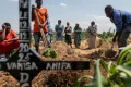 Confirmed Ebola cases in Congo outbreak top 1,000 with 254 deaths, authorities say