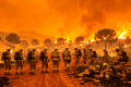 12 die in wildfire in Spain amid soaring temperatures